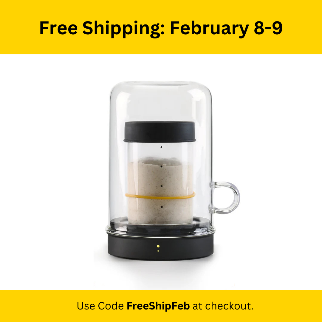 Free Shipping - February