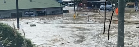 Flooded businesses in Asheville NC