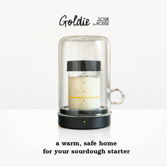 Announcement picture of Goldie by Sourhouse: a warm, safe home for your sourdough starter.