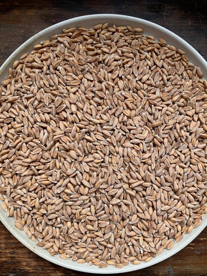 Spelt - Brooklyn Granary & Mill