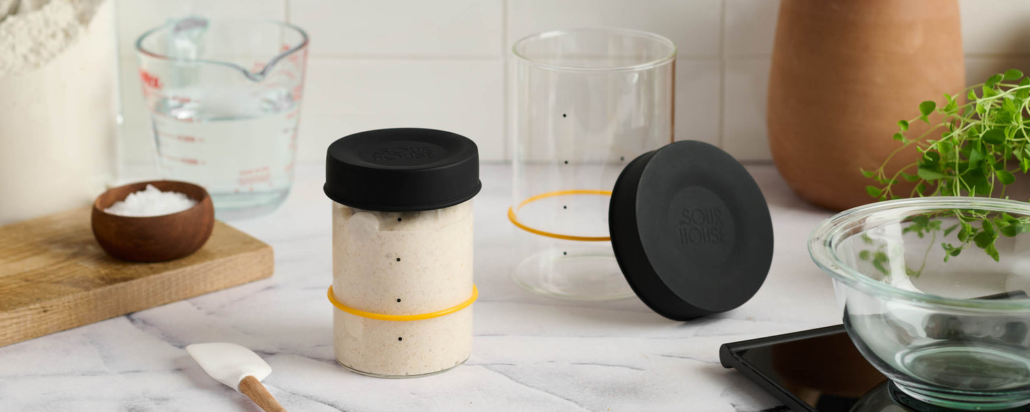 Goldie: A Warm, Safe Home for Your Sourdough Starter by Sourhouse —  Kickstarter