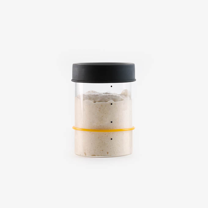 Sourhouse Starter Jars (Pint or Quart)