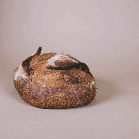 Organic Fine Rye Flour - Sunrise Flour Mill