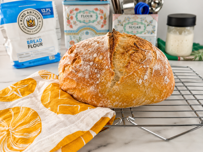 Sourdough Starter Kit for Kids - Bakit Box Collaboration
