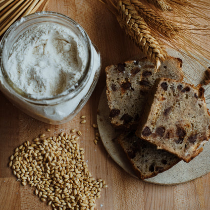 White Sonora Heritage Wheat Berries