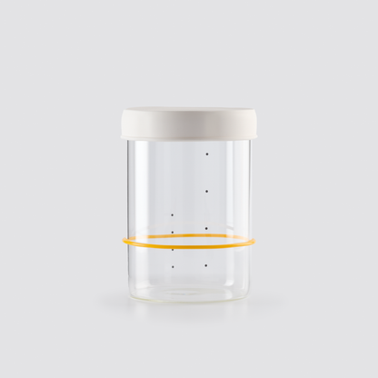 Sourhouse Starter Jars - White (Pint or Quart) (Pre-Order)